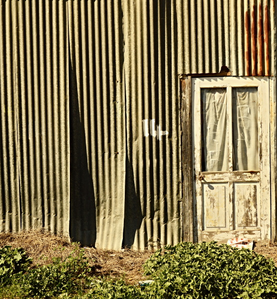 Old White-Corrugated Tin