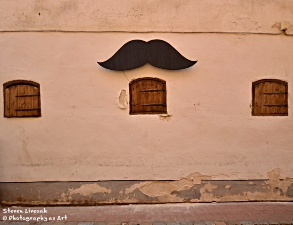 Moustache