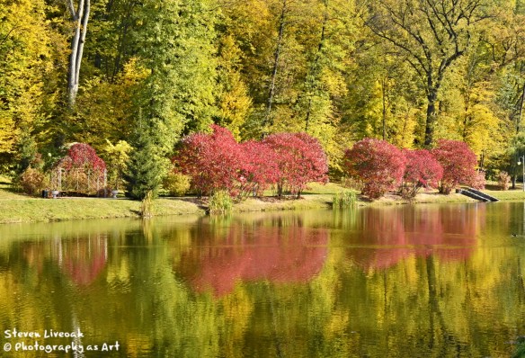 Red Leaves at Lake
