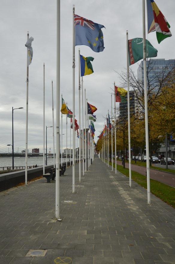 Ave of Flags