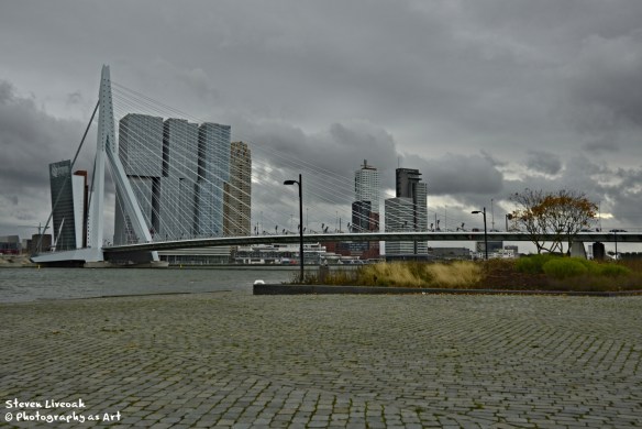 Erasmusbrug Bridge 1