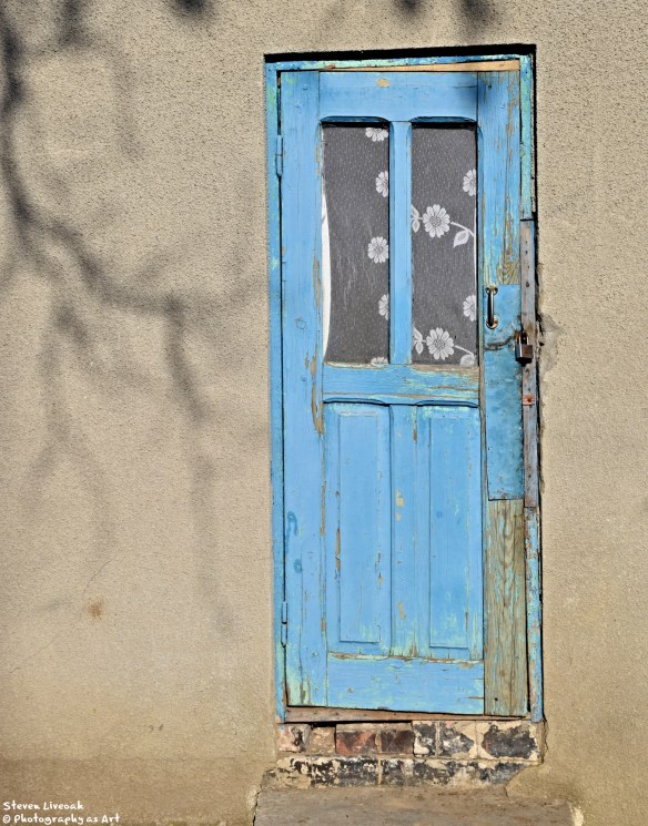 Tree Shadows and Blue